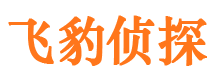 潜江市侦探调查公司